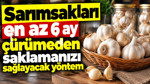 Sarımsakları en az 6 ay çürümeden saklamanın yolu: Buzdolabına koymak çözüm değil